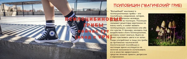 jwh Гусев
