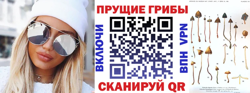 Псилоцибиновые грибы Magic Shrooms Уфа