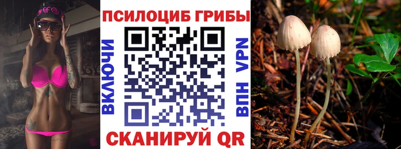 Галлюциногенные грибы Psilocybe  KRAKEN   Уфа  купить наркоту 
