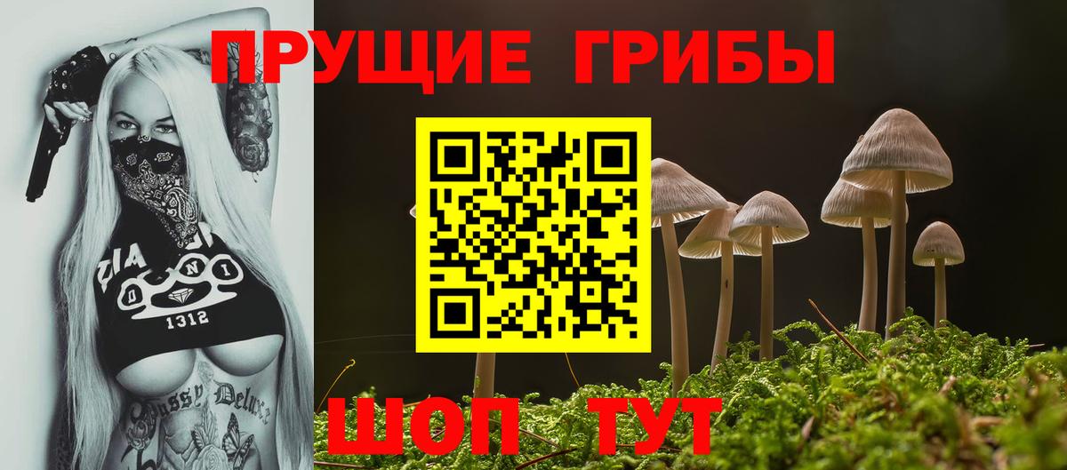 где продают наркотики  Вход с VPN  Галлюциногенные грибы Cubensis  Уфа  Псилоцибиновые грибы Psilocybe 