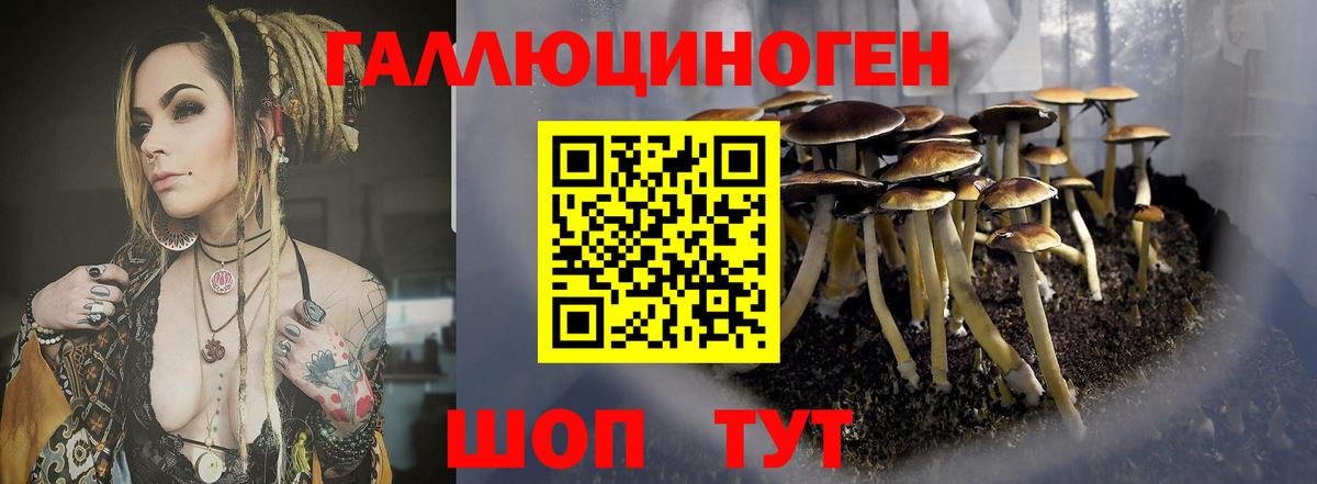 Галлюциногенные грибы мицелий Уфа